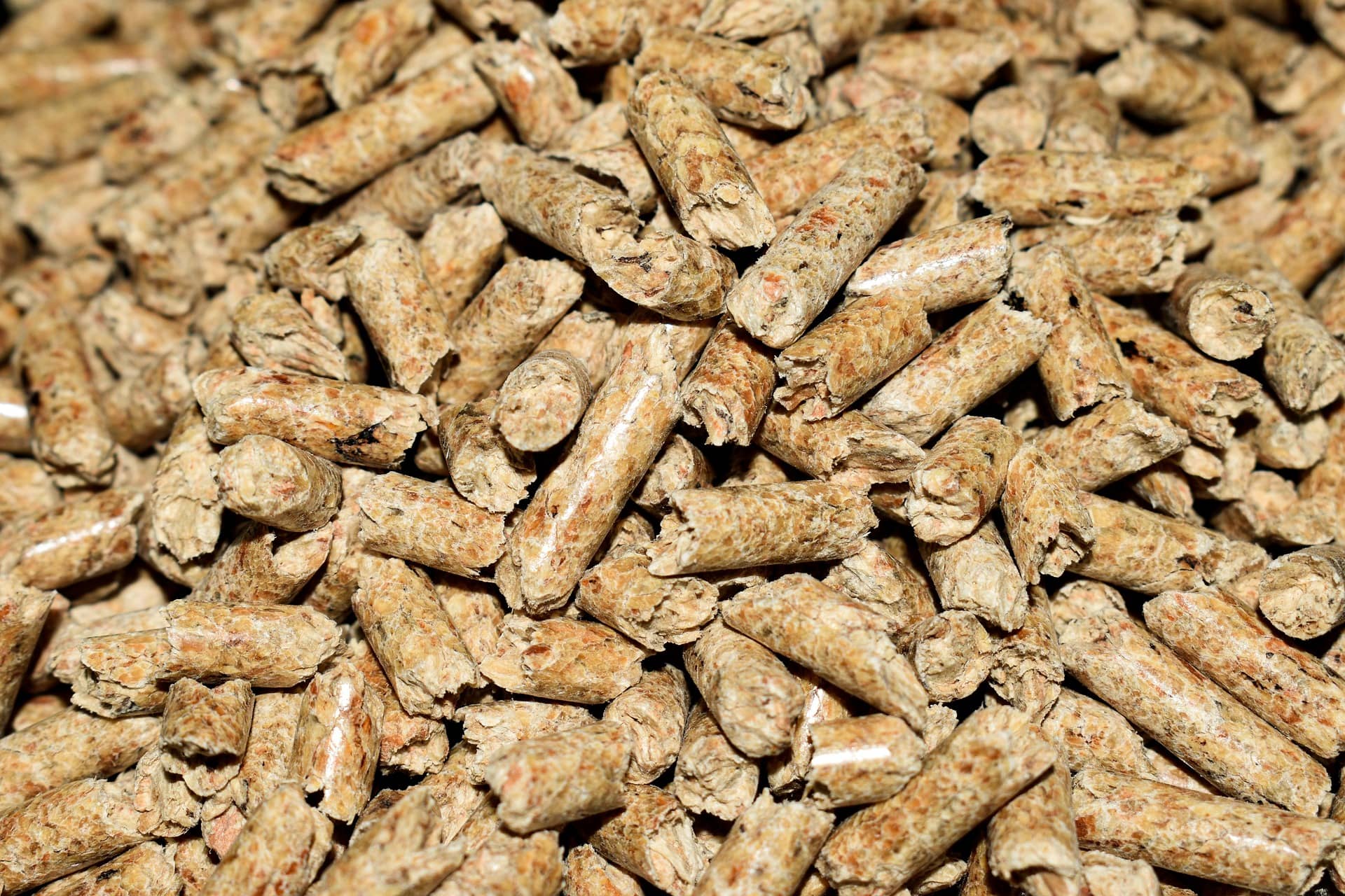 pellets-4844847_1920